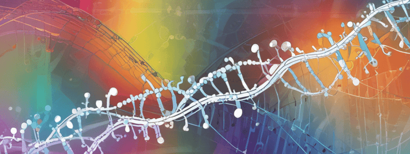 RNA Transcription and Protein Synthesis Quiz