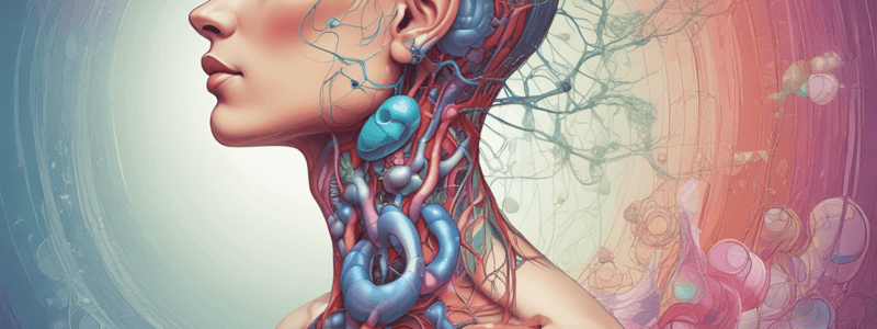 Endocrine System and Thyroid Hormones Quiz