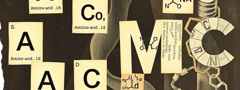 Amino Acid Classification and Functions