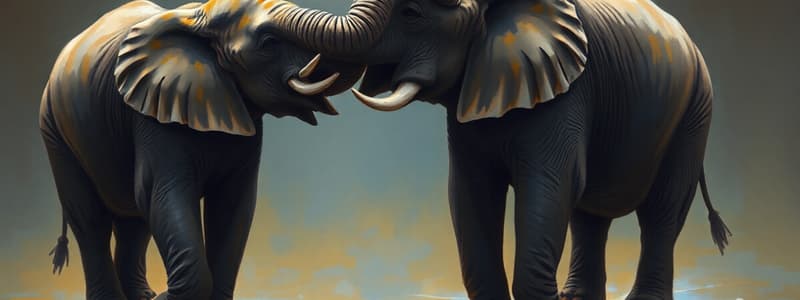 Elephant Communication Study Insights