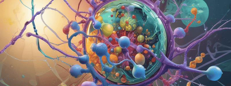 Cell Biology: Chromatin Types