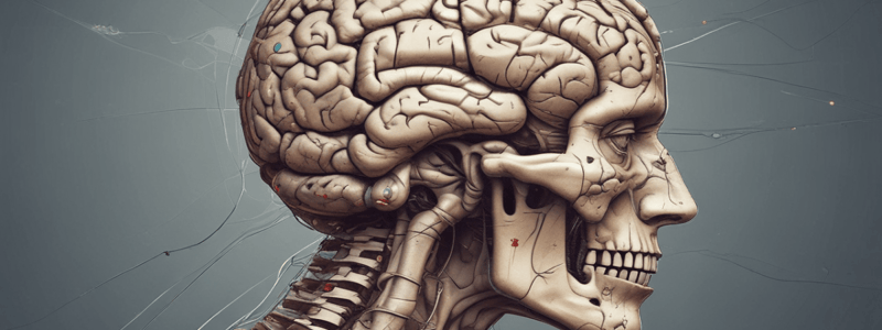 Central Nervous System Trauma