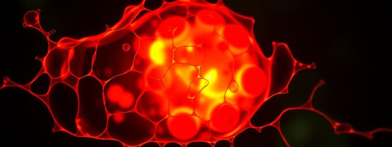 Cell Biology: Plasma Membrane and Cytoplasm