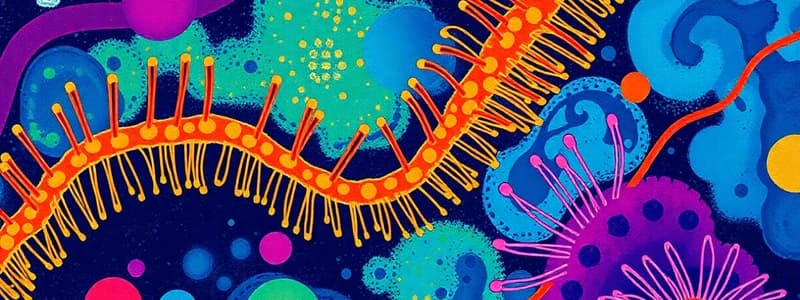 Cell Biology Chapter Quiz