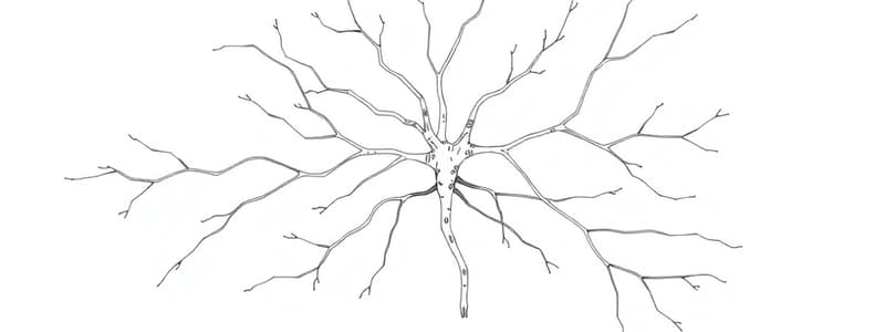 Neurotrasmettitori e Recettori del SNA (Fisio 14)