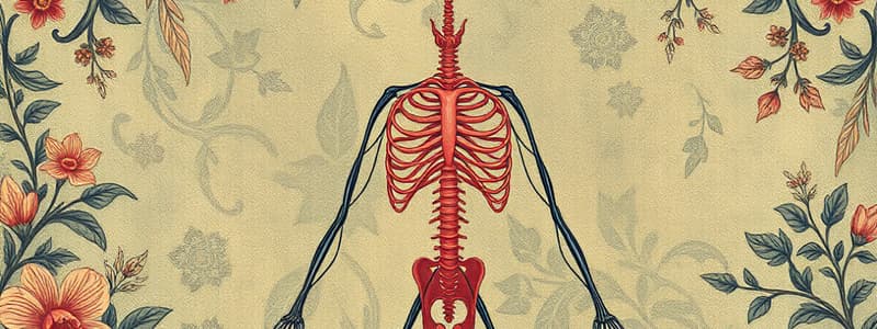 Autonomic Nervous System Overview