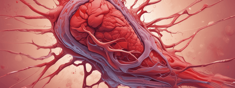 Secondary Haemostasis Process