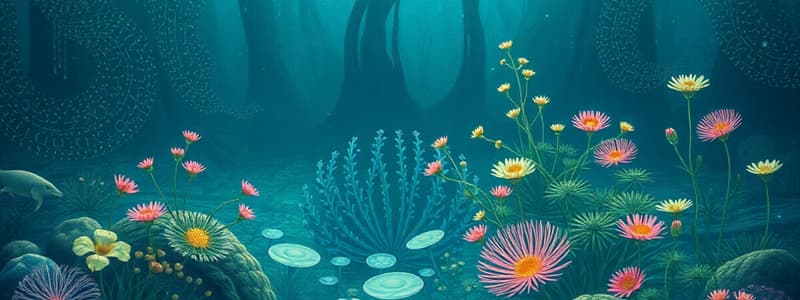 Marine Biology: Shore Pool Ecosystems