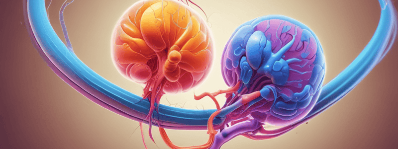 Anatomy of the Nephron and Urinalysis Quiz