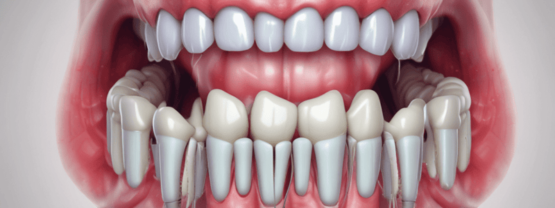 Mandibular Molars Anatomy