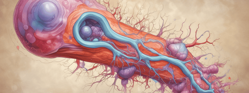 Adrenal Medulla Pathology: Pheochromocytoma