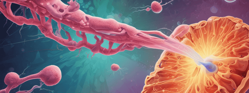 Oral Candidiasis (Pseudomembranous Candidiasis)