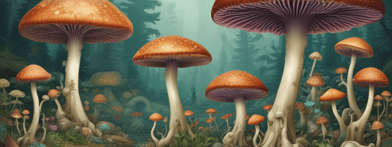 Basic Mycology: Structure and Growth