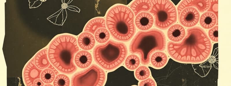 Histology: Specialized Epithelium