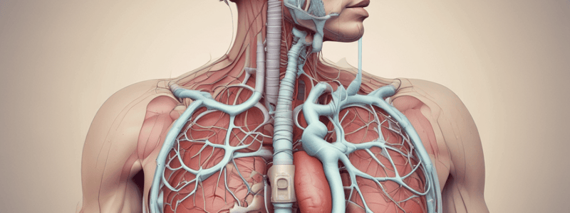 M1_Respiratory System Anatomy and Physiology