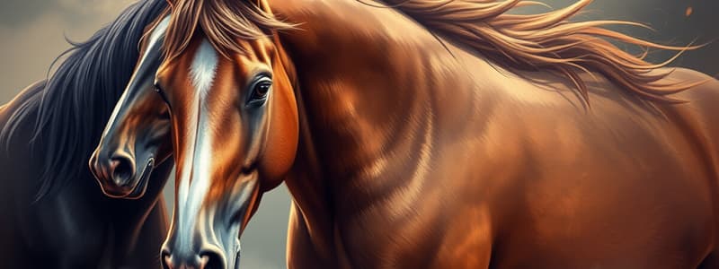 EQ104 Classification & Types of Horses