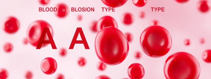 Blood Types and Transfusion Reactions