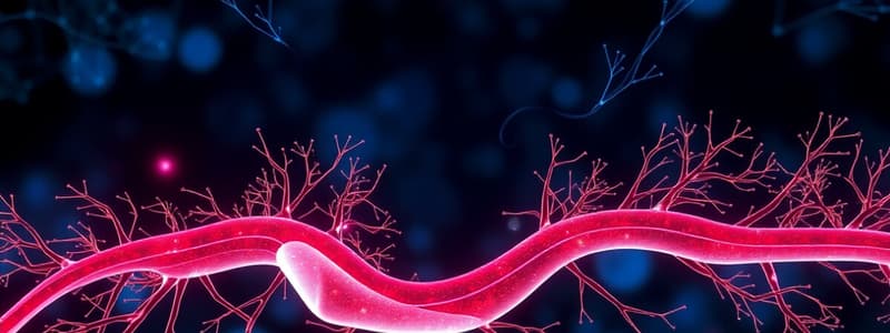 Biology Chapter Homeostasis and Feedback Mechanisms