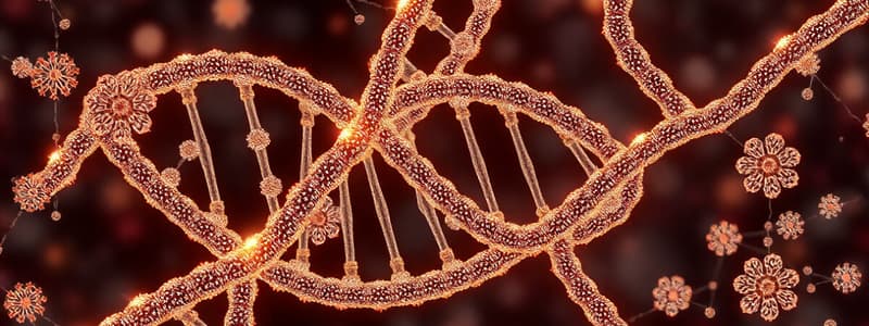 DNA Structure and Key Contributors