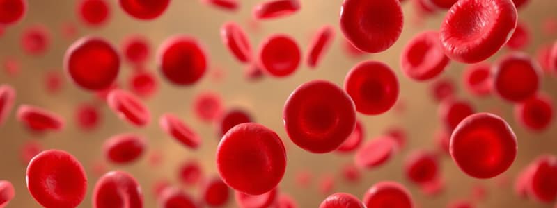 Hematopoiesis and Erythropoiesis-Stimulating Agents