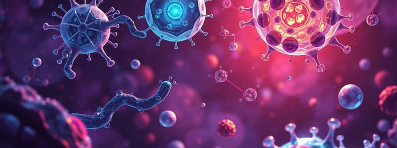 Biology Chapter 8: How Enzymes Work