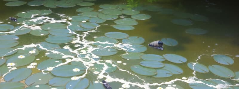 Changements d'État de l'Eau et Protocole Expérimental