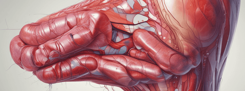 Wound Healing Process: Hemostasis Phase