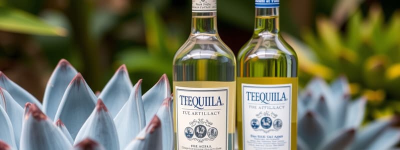 Tequila Classifications Flashcards