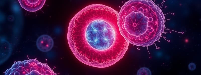 Introduction to Mitosis Quiz