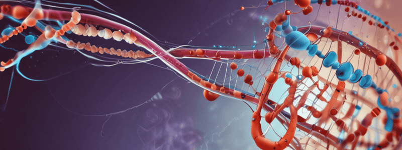 Transcripción y traducción del ADN y el ARN