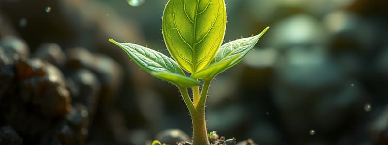 Plant Biology: Germination and Structure