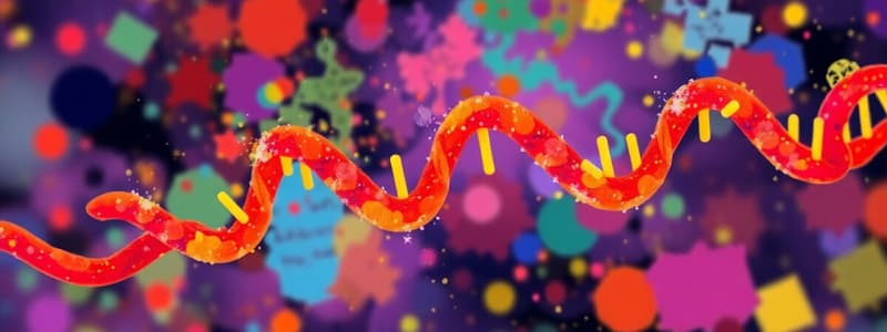 Transcription Process in Prokaryotes