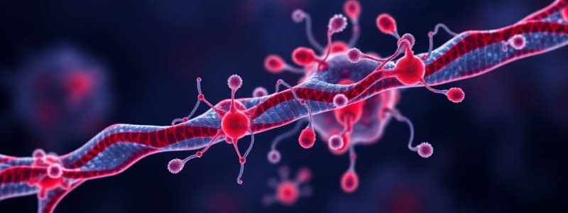 Eukaryotic Cell Structures: Nucleus & Chromatin