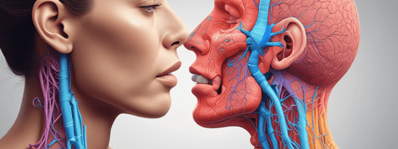 Respiratory System - Nose and Pharynx Functions