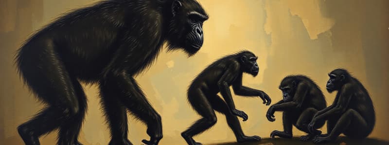 Macroevolution and Primates Evolution Quiz