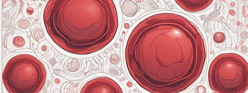 What are Red Blood Cells?