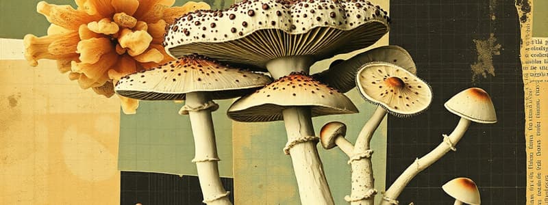 General Characteristics and Reproduction of Fungi