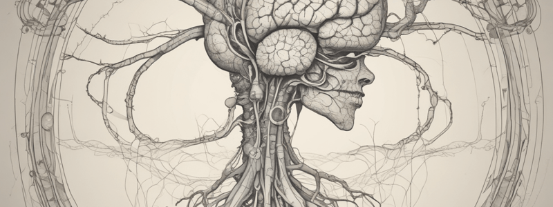 Nervous System: Cellular Structure and Function