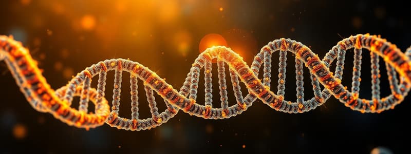 Biology Chapter on Nucleosides and DNA Structure