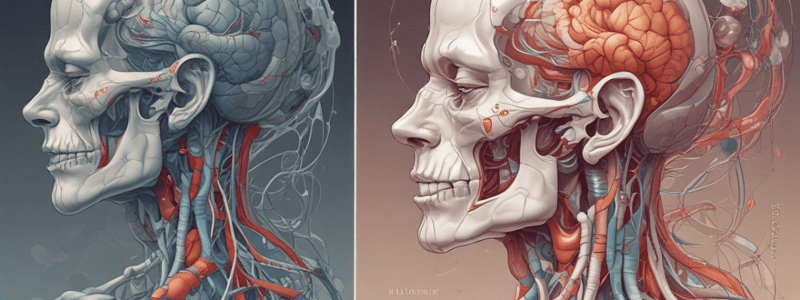 Human Body Organization and Function