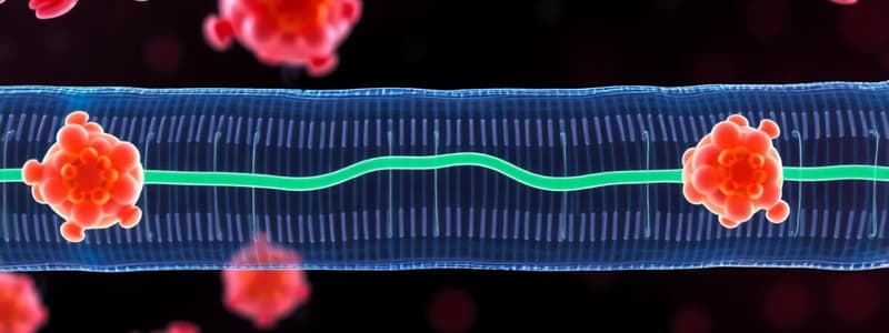 Biology Plasma Membrane Transport Quiz