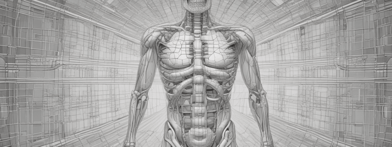 Radiography Geometry and Projection