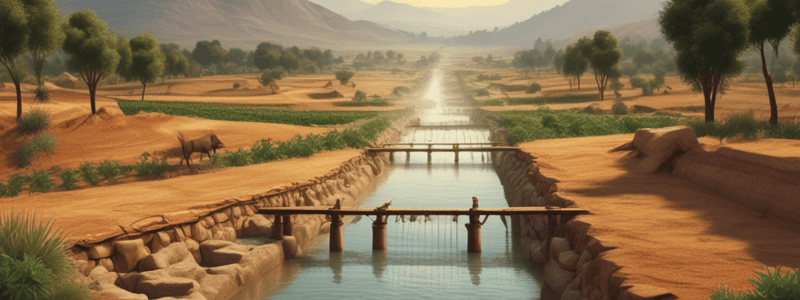 Ancient Civilizations and Irrigation Systems