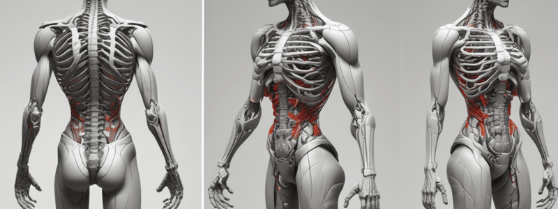 Anatomia Umana - Postura e Baricentro