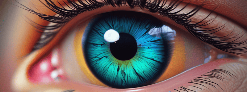 Personalized Medicine in Ophthalmology