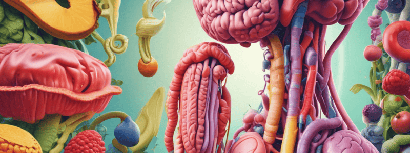 Digestive System Processes Quiz