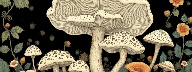 Ecological Roles and Characteristics of Fungi