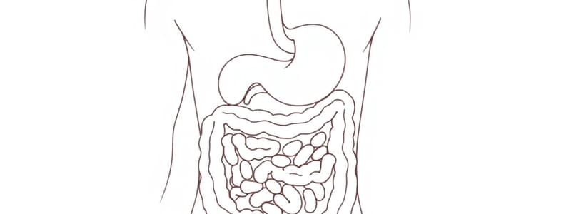 Fisiologia del Sistema Digerente: Introduzione (Fisiologia 55)