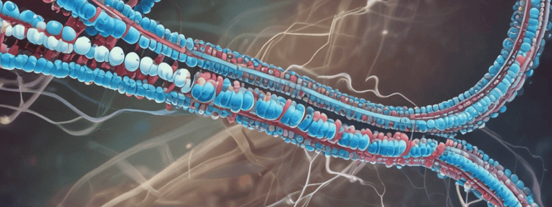 Chromosome Structure Sequence