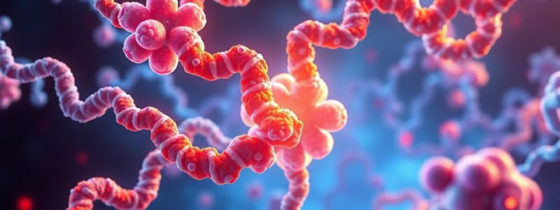 Protein Synthesis and Translocation